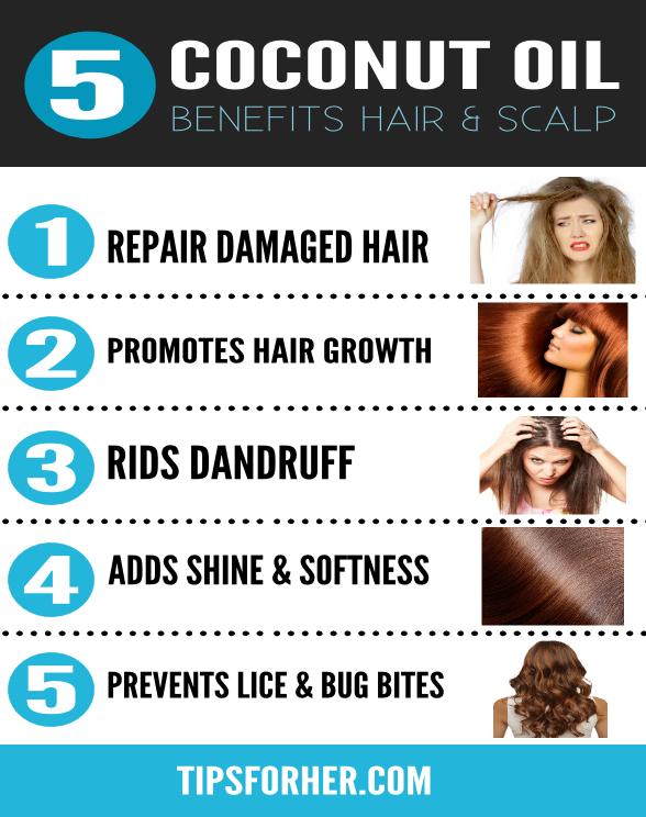 5-coconut-oil-benefits-for-hair-scalp